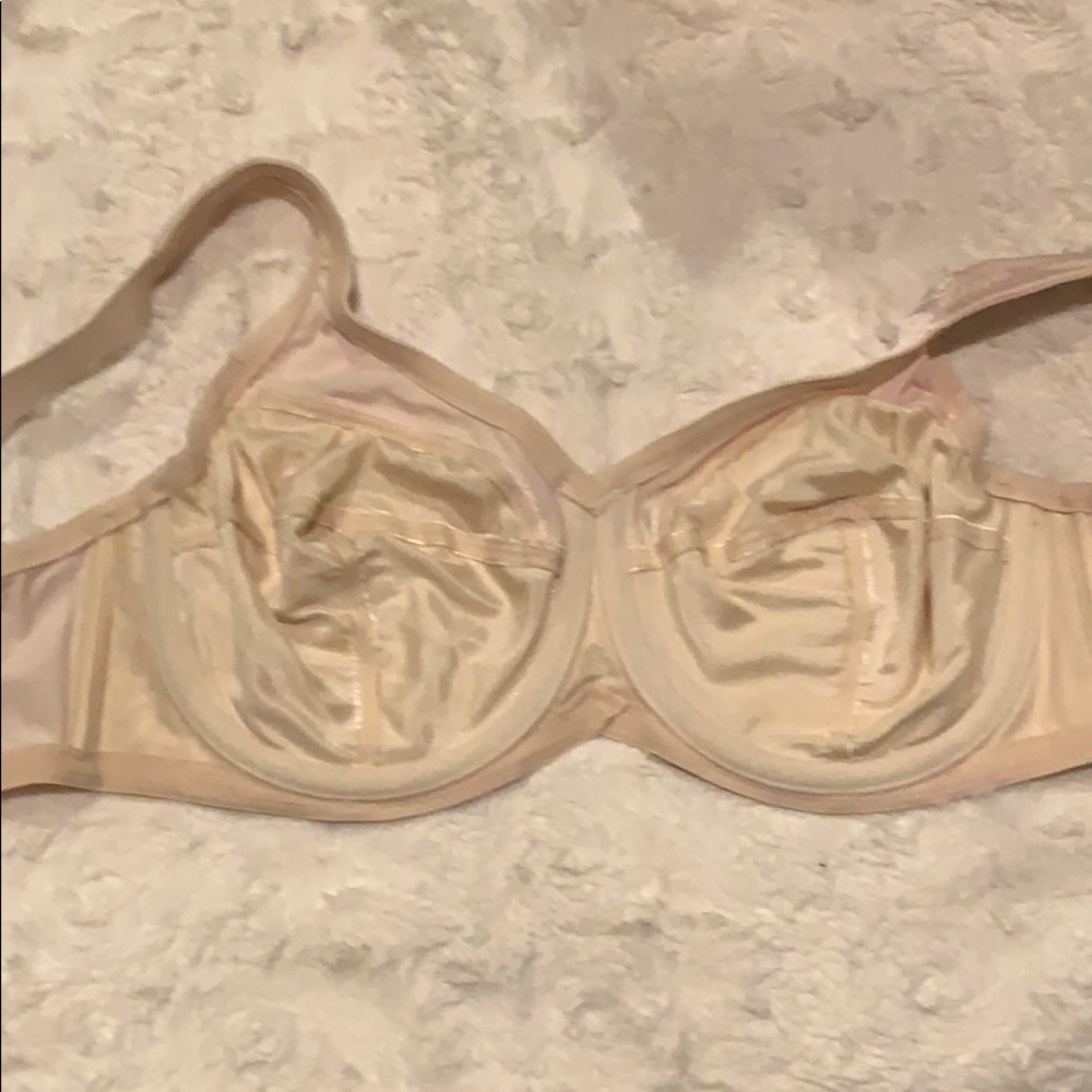 Lilyette Maximum Support Underwire Bra - image 5